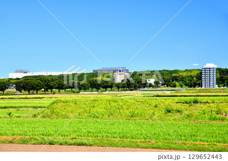 熊本県大津町室 室交差点周辺を望む(熊本県大津町)【2025.7】 129652443