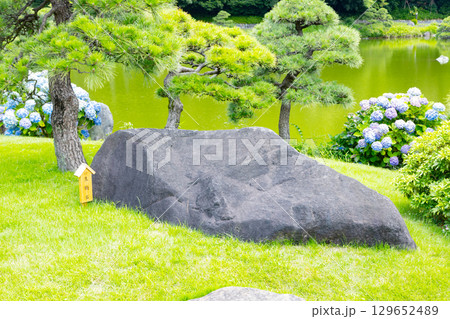 初夏の清澄庭園　生駒石 129652489
