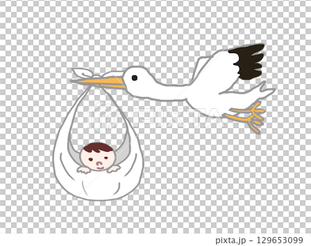鸛用布叼著嬰兒 129653099