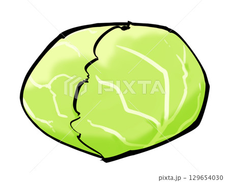 筆 冬キャベツ 野菜 シンプル 129654030