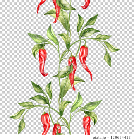 Hand-drawn watercolor style seamless vertical border illustration featuring ripe red chili peppers and green leaves on a plant stem. Ideal for distinctive stationery, packaging, or textile designs 129654412