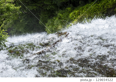 夏の奥日光湯滝　滝の上部からの眺め 129654522