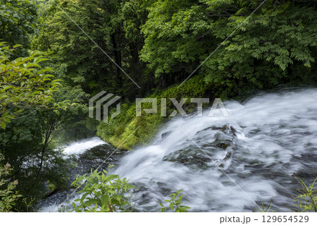 夏の奥日光湯滝　滝の上部からの眺め 129654529