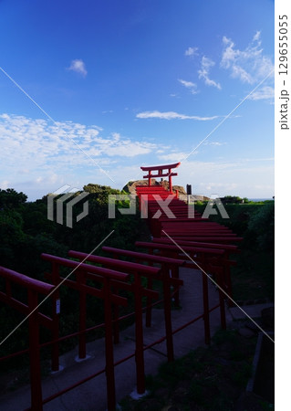 赤い鳥居　　元乃隅神社302 129655055