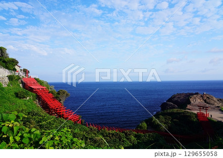 赤い鳥居 元乃隅神社327 赤い鳥居 元乃隅神社327 129655058
