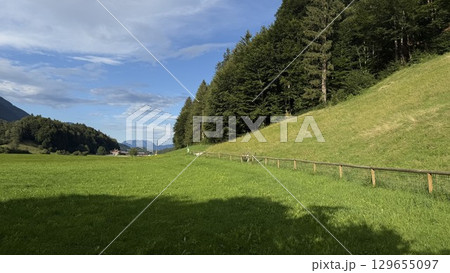 Scenic View of Rolling Hills and Forest Landscape 129655097