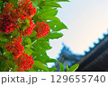 花と山寺 129655740