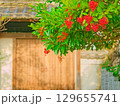 早朝の山寺 129655741