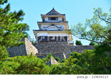 丸亀城　 129656123