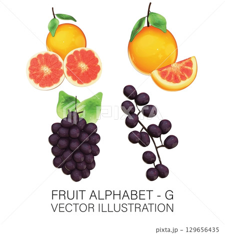 3D Fruit Alphabet G: Realistic Grapefruit and Grape Illustration with Transparent Background 129656435