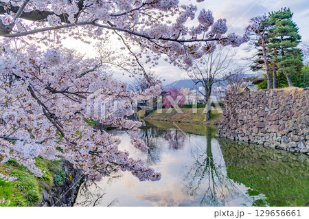 【長野県】国宝 松本城 お堀の桜 【長野県】国宝 松本城 お堀の桜 129656661