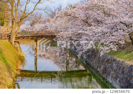 【長野県】国宝 松本城 お堀の桜 【長野県】国宝 松本城 お堀の桜 129656670