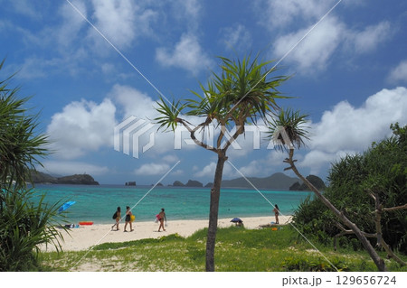 座間味島、阿真ビーチの夏　夏風景 129656724
