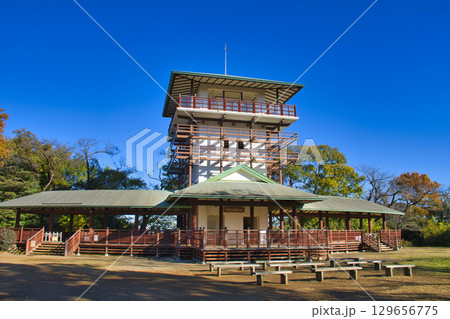 【川崎市】生田緑地の枡形山展望台 129656775