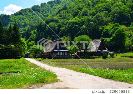 富山県 五箇山 菅沼合掌造り集落 富山県 五箇山 菅沼合掌造り集落 129656818