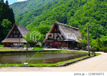 富山県 五箇山 菅沼合掌造り集落 富山県 五箇山 菅沼合掌造り集落 129656872