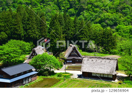 富山県 五箇山 菅沼合掌造り集落 富山県 五箇山 菅沼合掌造り集落 129656904
