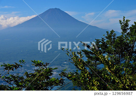 御坂山地の黒岳より望む夏の富士山 御坂山地の黒岳より望む夏の富士山 129656987