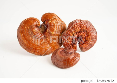 Lingzhi or Reishi mushroom with capsules, organic natural healthy food. 129657012