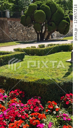 Manicured garden with vibrant red and pink flowers, geometric hedges, and sculpted tree in bright sunlight. The image illustrates classic landscape design, urban nature, and outdoor relaxation Manicured garden with vibrant red and pink flowers, geometric hedges, and sculpted tree in bright sunlight. The image illustrates classic landscape design, urban nature, and outdoor relaxation 129657218