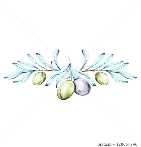 Delicate watercolor illustration of olives and olive oil inspired by Italian cuisine and nature frame, border, arrangement Delicate watercolor illustration of olives and olive oil inspired by Italian cuisine and nature frame, border, arrangement 129657246