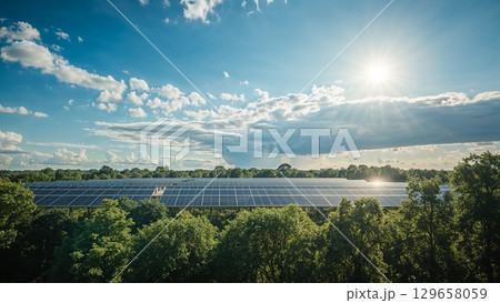 A solar farm with a bright sun shining on it 129658059
