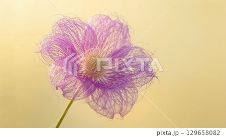 A flower with a purple stem and purple petals 129658082