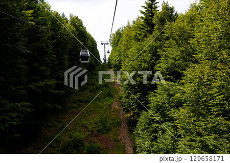 Scenic cable car ride through dense forest landscape Scenic cable car ride through dense forest landscape 129658171