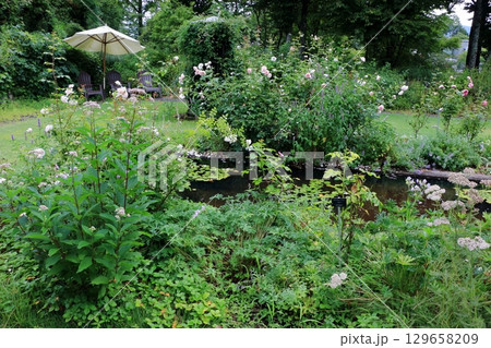 The natural flowers at the Karuizawa Lake Garden, a flower park with beatiful lakes in the Karuizawa resort area of, Nagano Japan 129658209