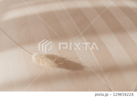 Beige striped bedding with dried grass in sunlight 129658228