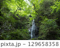 夏の払沢の滝 129658358