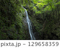 夏の払沢の滝 129658359
