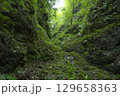 夏の払沢の滝 周辺 129658363