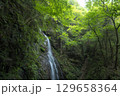 夏の払沢の滝 129658364