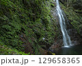 夏の払沢の滝 129658365
