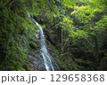 夏の払沢の滝 129658368