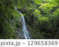 夏の払沢の滝 129658369