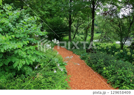 The paths around the lake and gardens of the Lake Garden in the Japanese resort town of Karuizawa in the Nagano Alps.  129658409