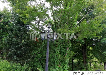 The paths around the lake and gardens of the Lake Garden in the Japanese resort town of Karuizawa in the Nagano Alps.  The paths around the lake and gardens of the Lake Garden in the Japanese resort town of Karuizawa in the Nagano Alps.  129658444
