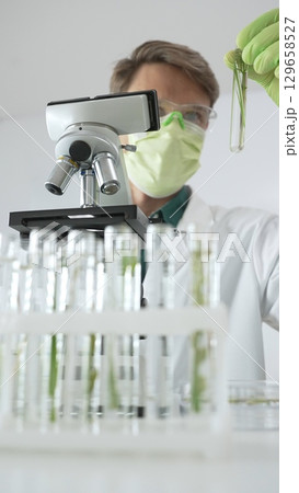 Man scientist wearing green protective gloves and mask is looking at green plant in test tube near a microscope, petri dishes during a laboratory research. Medicine, health care and science concept 129658527