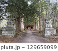 戸隠神社の参道 129659099