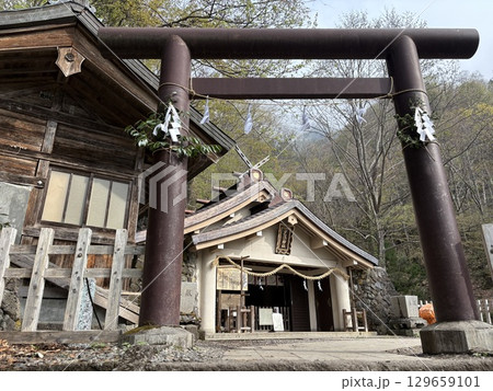 戸隠神社奥宮 戸隠神社奥宮 129659101
