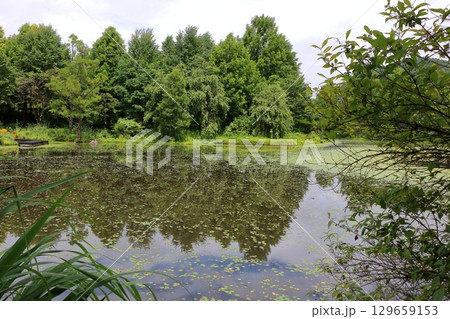 The beautiful ponds full of water lilies in the Lake Garden in the resort town of Karuizawa in the Japanese Alps of Nagano Japan The beautiful ponds full of water lilies in the Lake Garden in the resort town of Karuizawa in the Japanese Alps of Nagano Japan 129659153