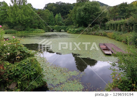 The beautiful ponds full of water lilies in the Lake Garden in the resort town of Karuizawa in the Japanese Alps of Nagano Japan The beautiful ponds full of water lilies in the Lake Garden in the resort town of Karuizawa in the Japanese Alps of Nagano Japan 129659194