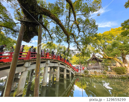 学問の神様　福岡・太宰府天満宮 129659299
