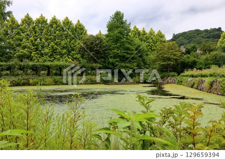 Bridges on the scenic ponds at Lake Garden in the resort town of Karuizawa in the Japanese Alps of Nagano Japan  129659394