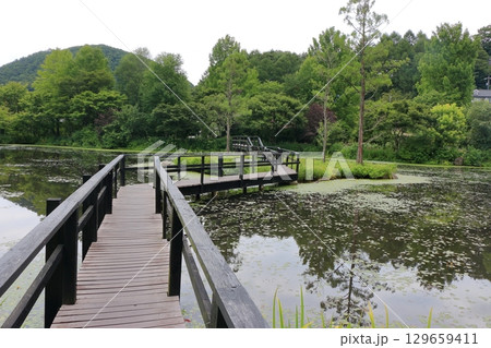 Bridges on the scenic ponds at Lake Garden in the resort town of Karuizawa in the Japanese Alps of Nagano Japan Bridges on the scenic ponds at Lake Garden in the resort town of Karuizawa in the Japanese Alps of Nagano Japan 129659411