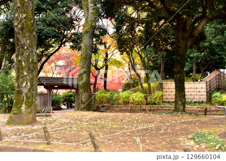 横浜市 横浜公園散策路と彼我庭園正門と紅葉 横浜市 横浜公園散策路と彼我庭園正門と紅葉 129660104