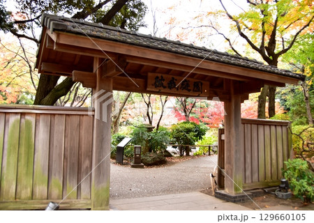 横浜市　横浜公園の彼我庭園正門と紅葉 129660105