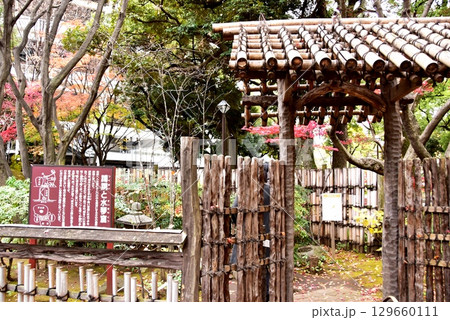 横浜市 横浜公園・彼我庭園の色鮮やかな紅葉と蹲踞と水琴窟案内板 横浜市 横浜公園・彼我庭園の色鮮やかな紅葉と蹲踞と水琴窟案内板 129660111
